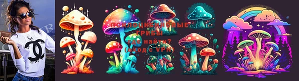 бошки Новокубанск