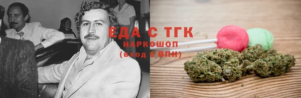 прущие грибы Новодвинск