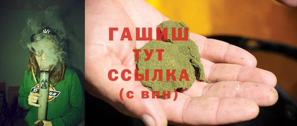 прущие грибы Новодвинск