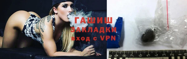 прущие грибы Новодвинск