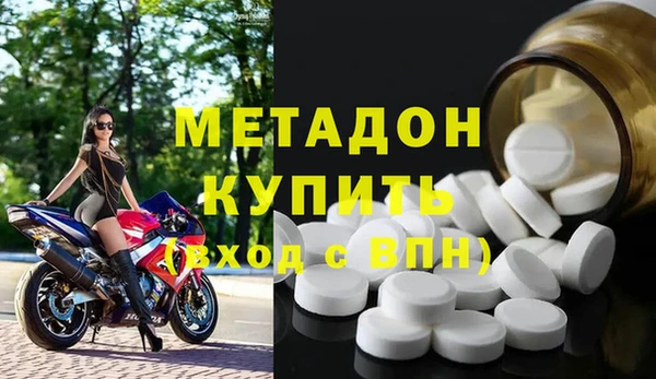 прущие грибы Новодвинск
