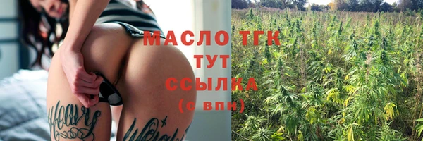 прущие грибы Новодвинск