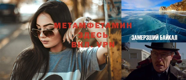 прущие грибы Новодвинск