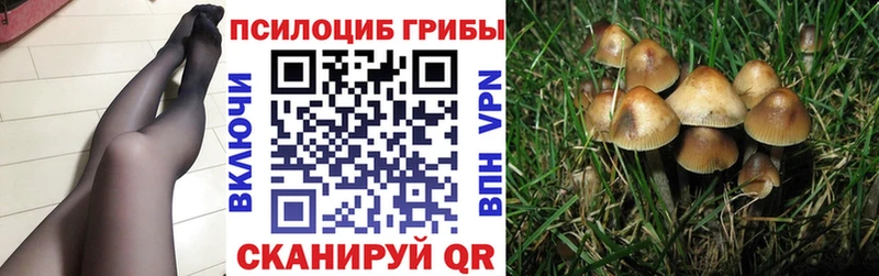 Псилоцибиновые грибы прущие грибы  где найти наркотики  Шиханы 